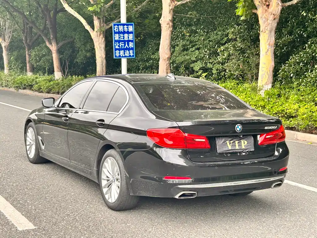 BMW 5 Series 5 2020 530Li Lead Luxury