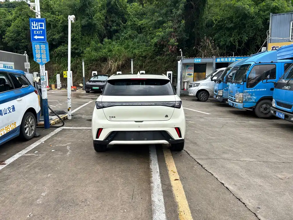 BYD Dolphin — миниатюра 2