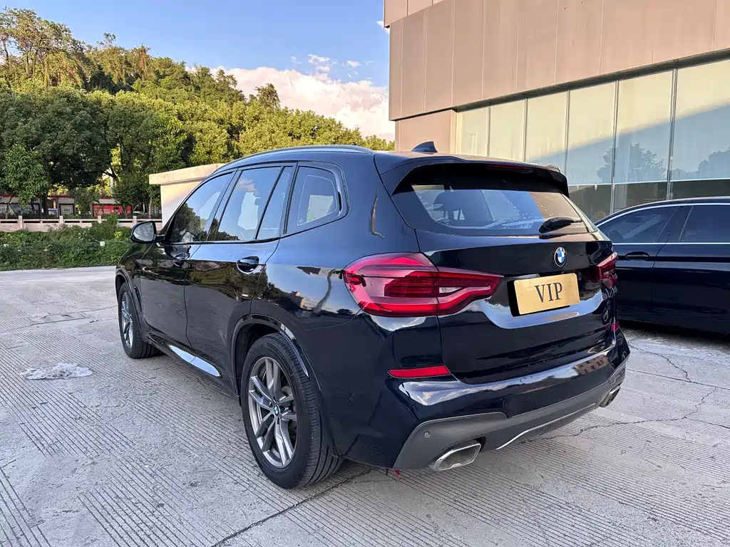 BMW X3 — миниатюра 7