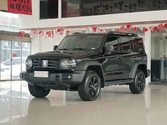 2024 TANK 300