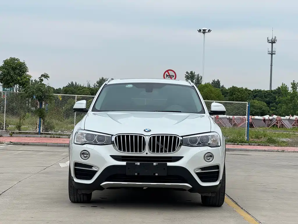 BMW X4 xDrive20i X Design Package, фото 2