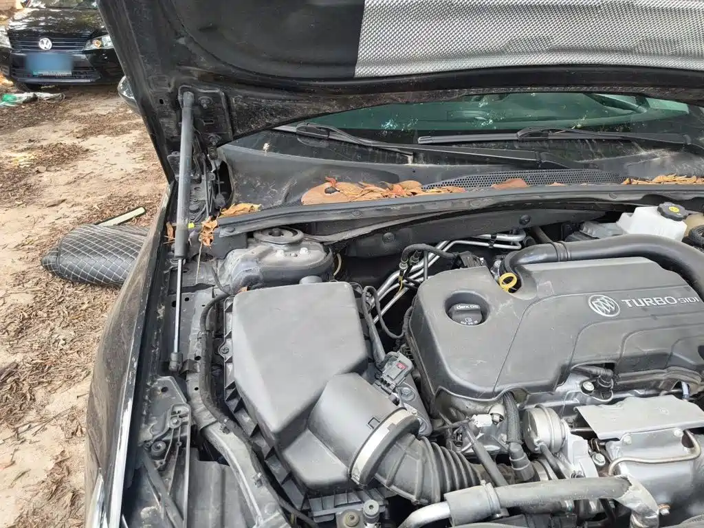 Buick Regal — миниатюра 21