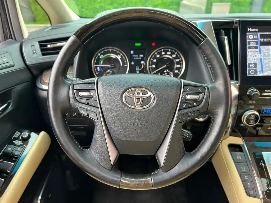 Toyota Alphard — миниатюра 19