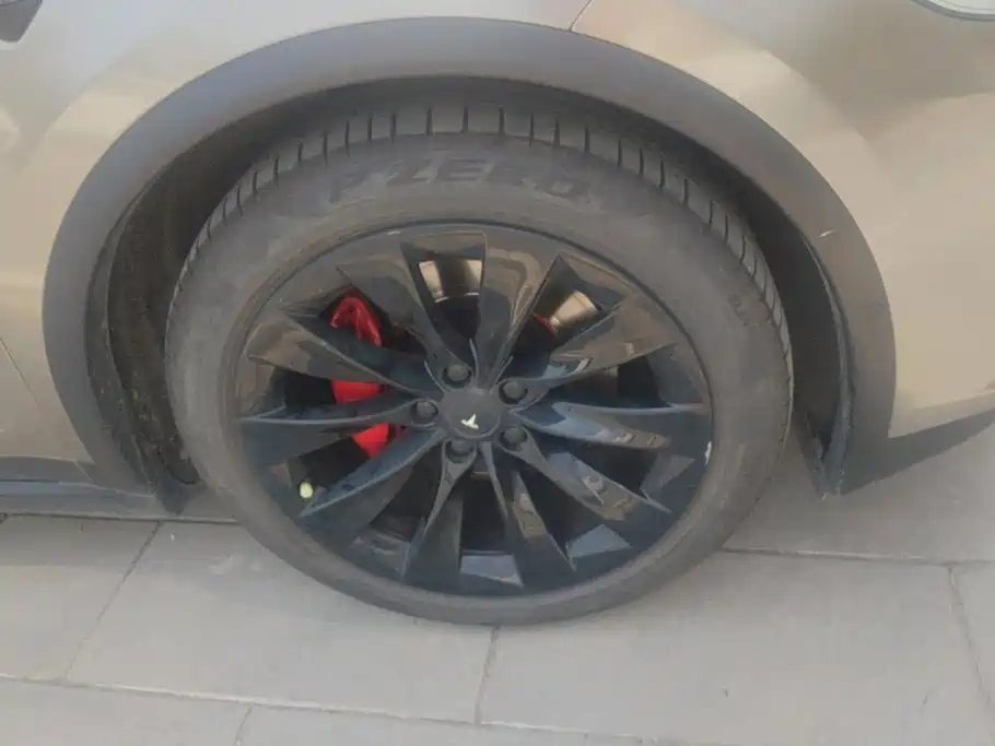 Tesla Model X — миниатюра 6