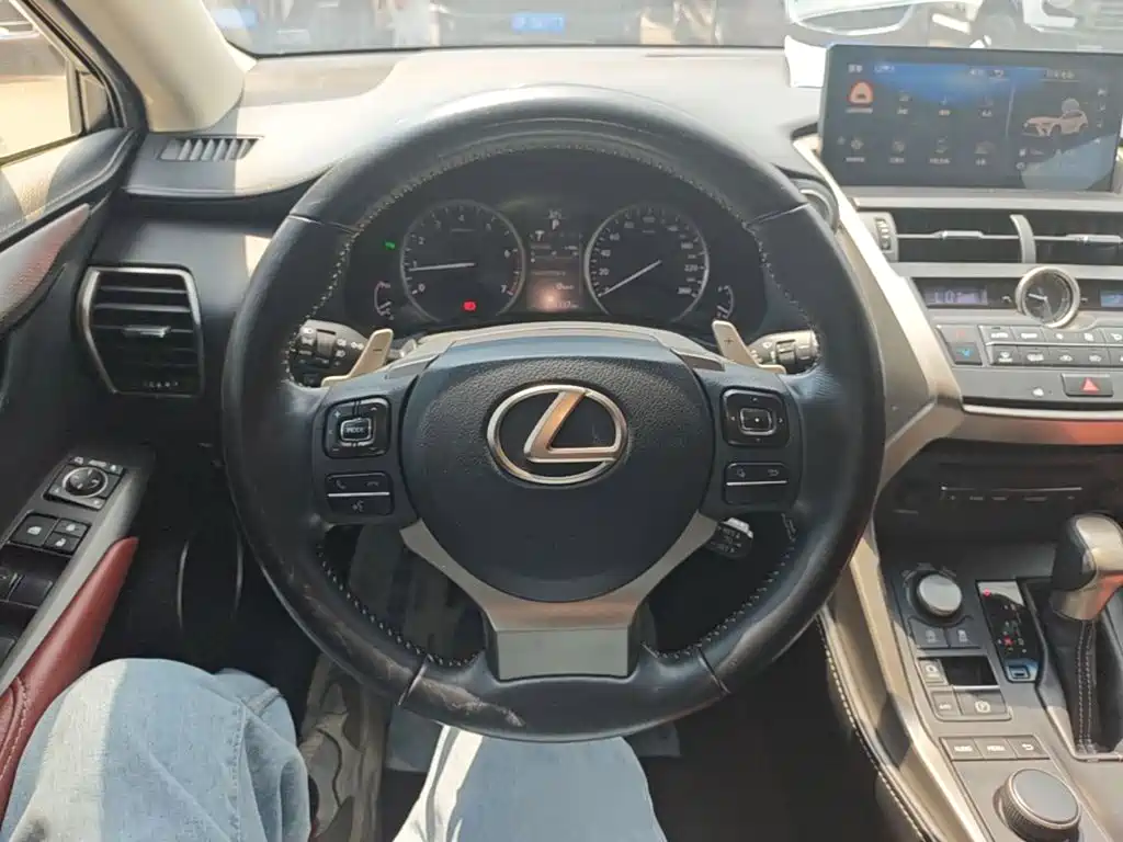 Lexus NX — миниатюра 11
