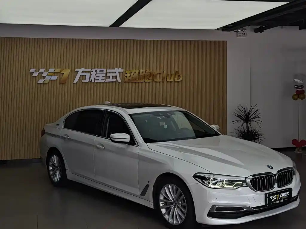 BMW 5 Series 5 2019 530Le Luxury