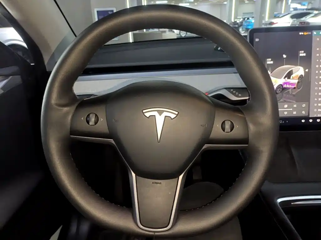 Tesla Model Y — миниатюра 11