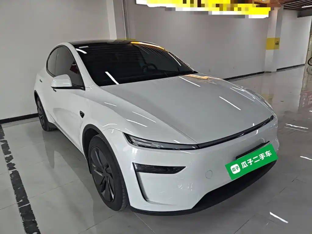 Tesla Model Y — миниатюра 4