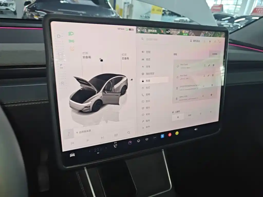 Tesla Model Y — миниатюра 13