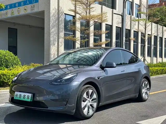 TESLA MODEL Y 2021
