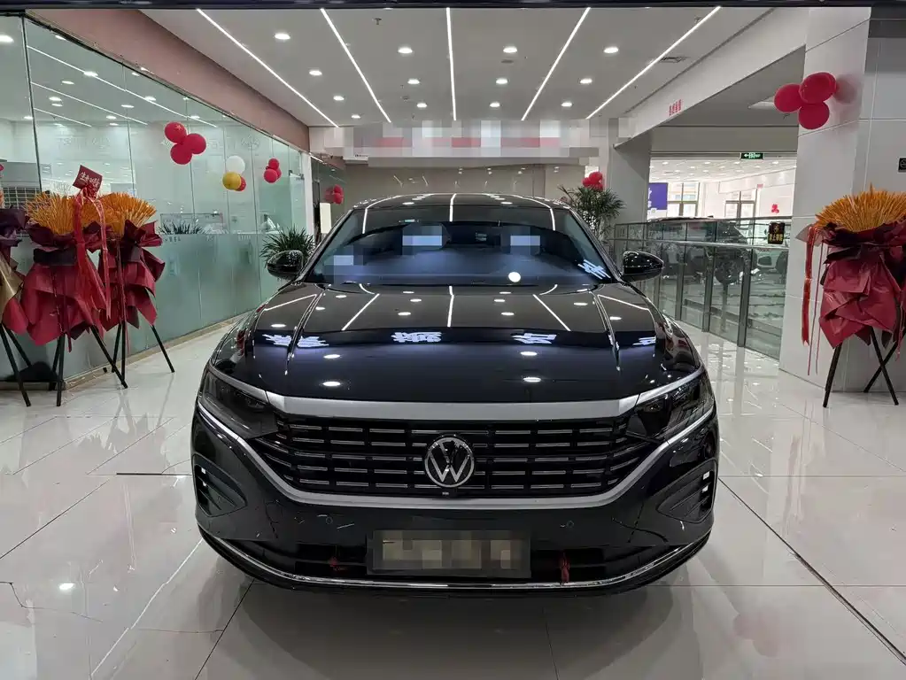 Volkswagen Passat — миниатюра 2