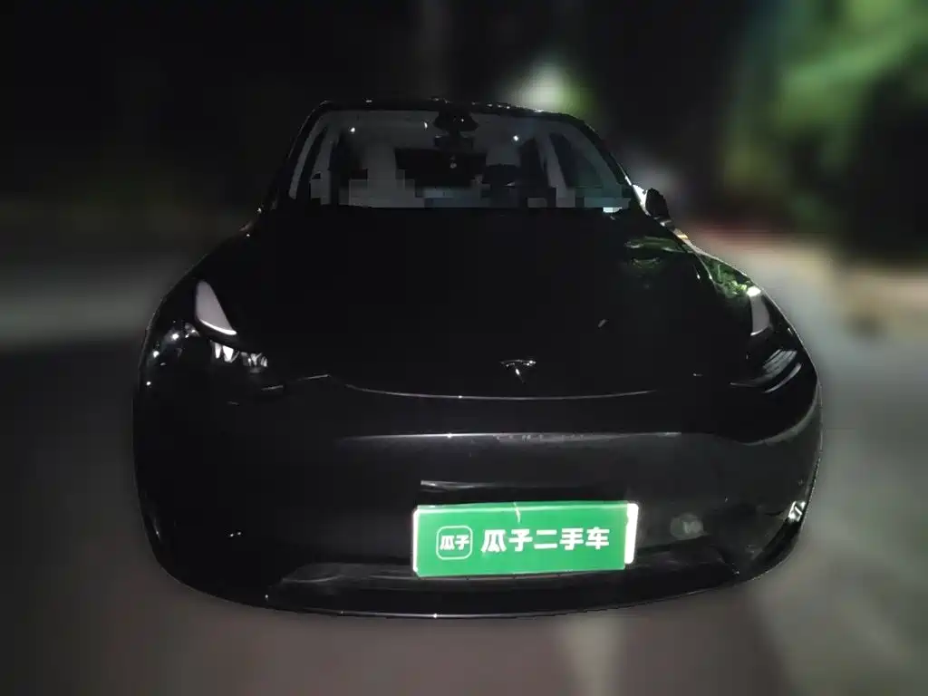 Tesla Model Y — миниатюра 2