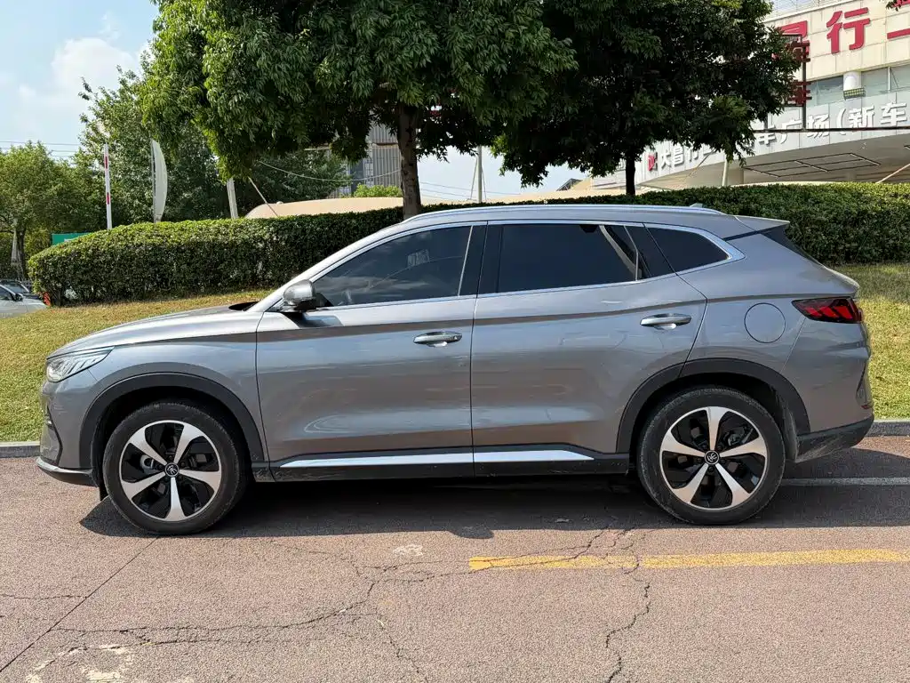 BYD PLUS New Energy — миниатюра 3