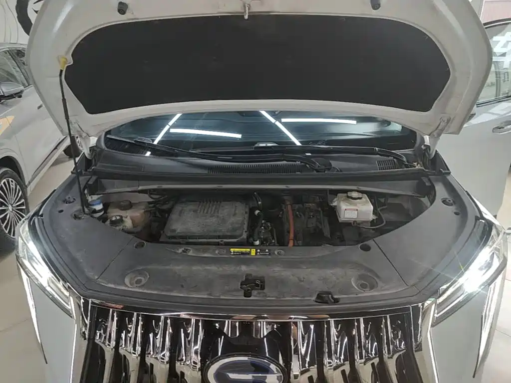 GAC Motor Trumpchi M8 — миниатюра 20