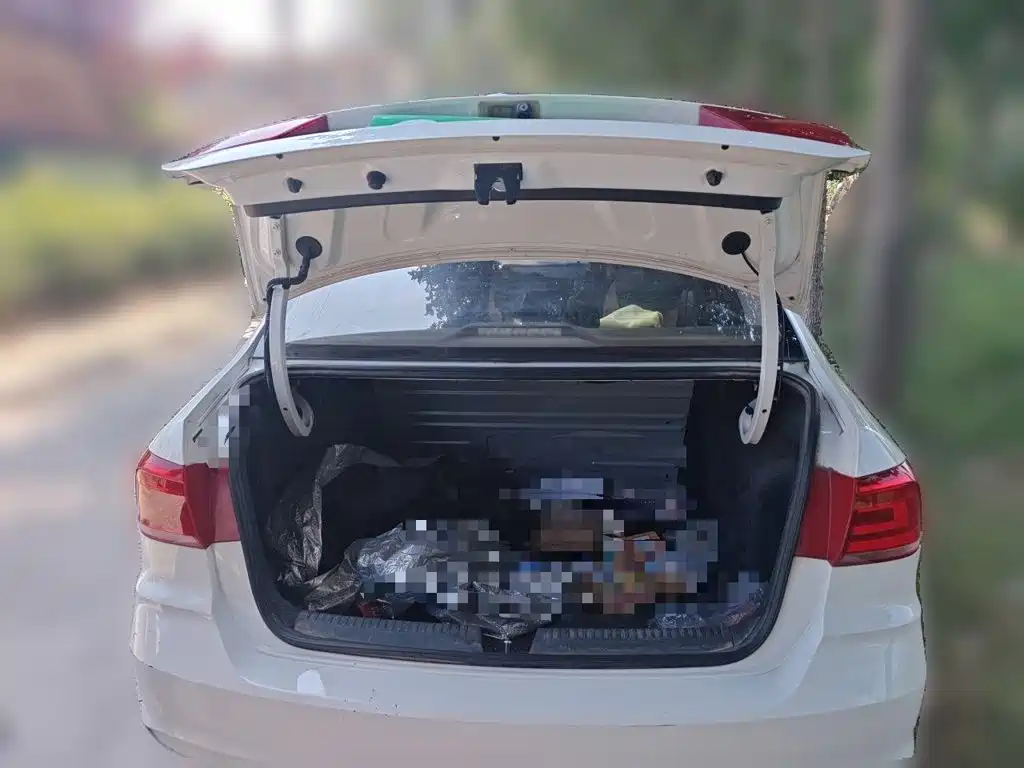 Volkswagen Santana — миниатюра 15