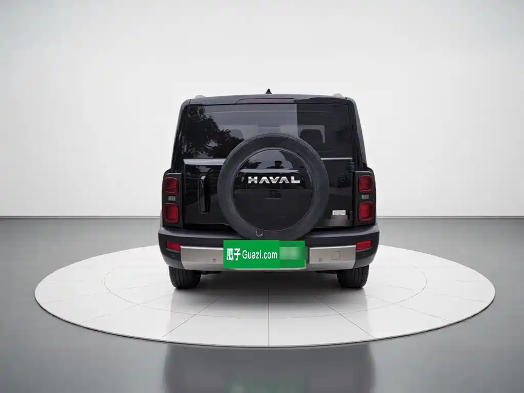 Haval Menglong New Energy — миниатюра 3