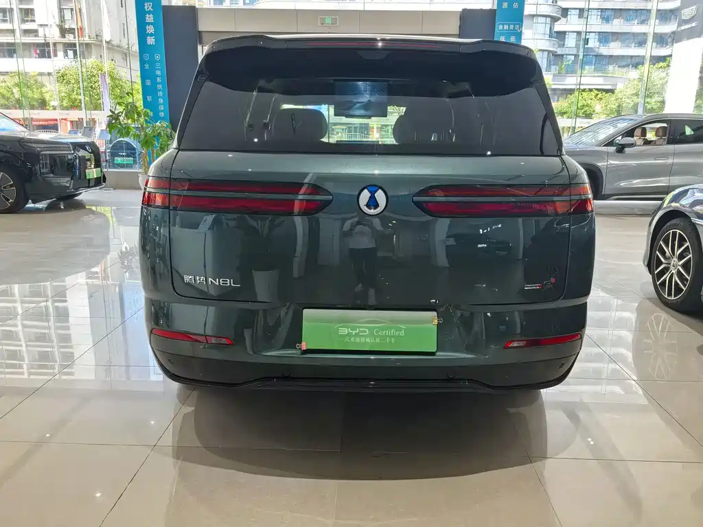 Denza Denza N8L — миниатюра 5