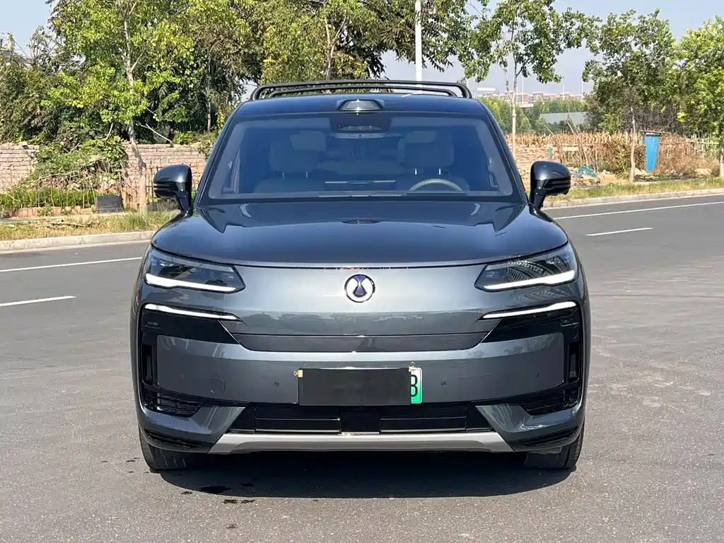 Denza Denza N9 — миниатюра 2