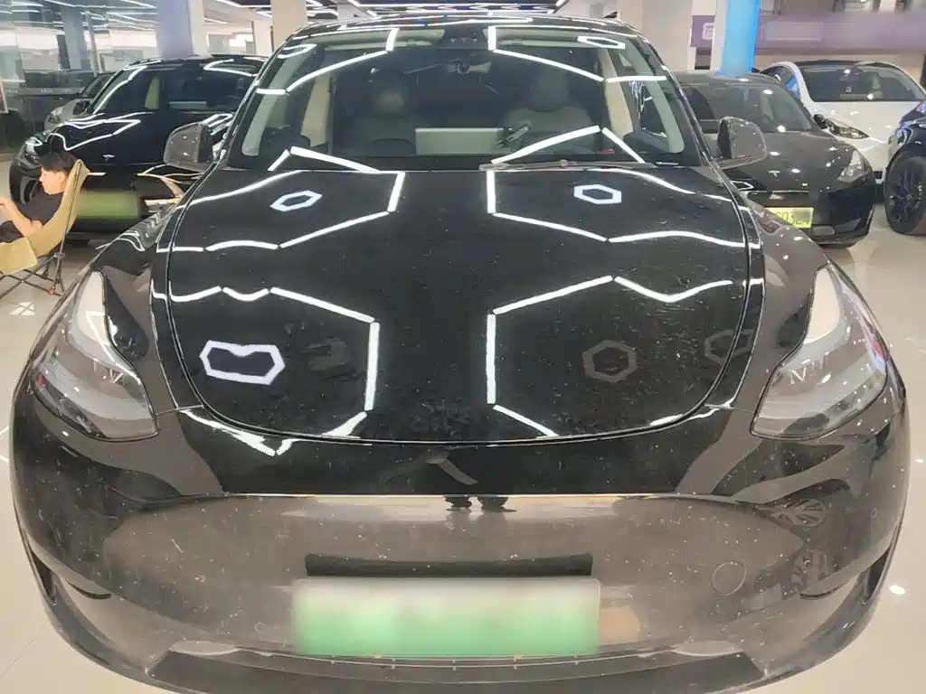 Tesla Model Y — миниатюра 3