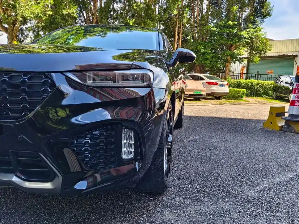 WEI PAI WEI BRAND VV7