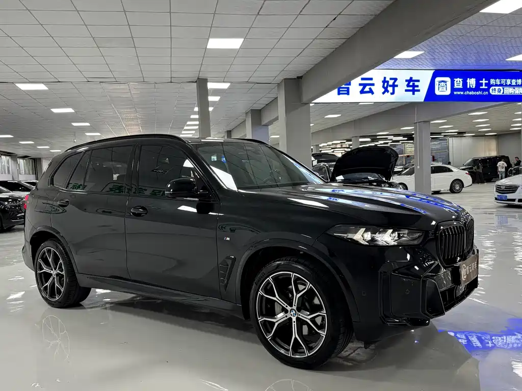 BMW X5 — миниатюра 3