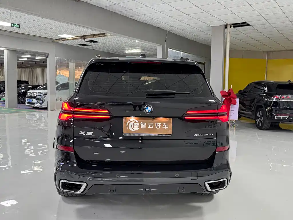 BMW X5 — миниатюра 8