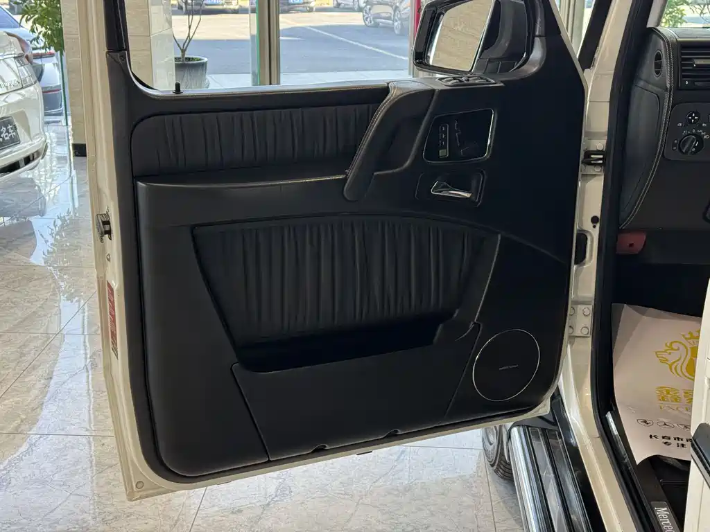 Mercedes-Benz G-Class G 2010 G 500