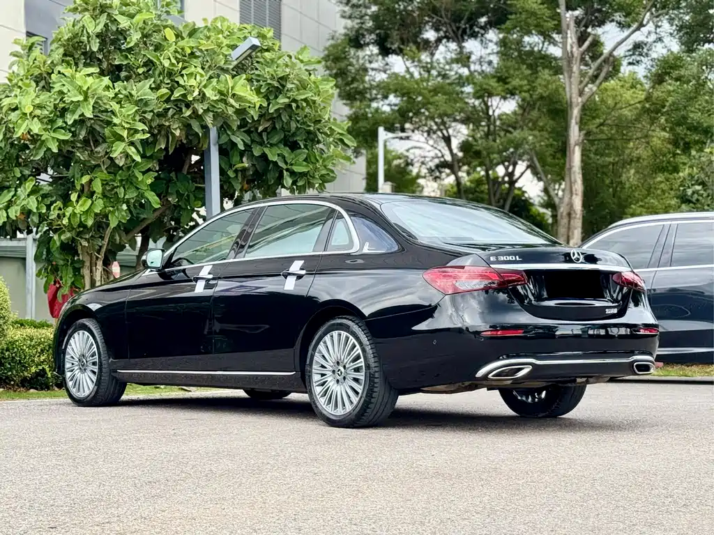 Mercedes-Benz E-Class E 2022 E 300 L Luxury