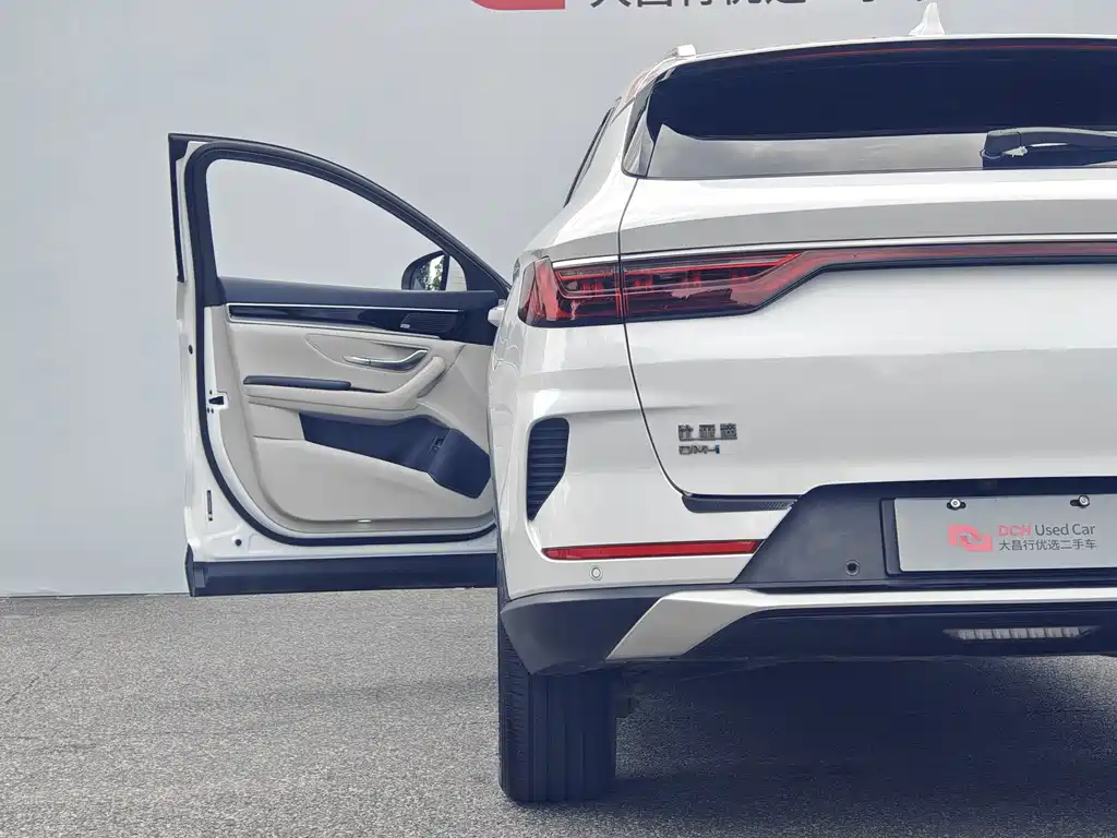 BYD PLUS New Energy — миниатюра 9