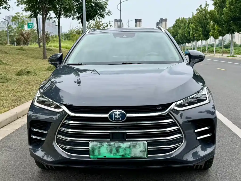 BYD Tang New Energy — миниатюра 2