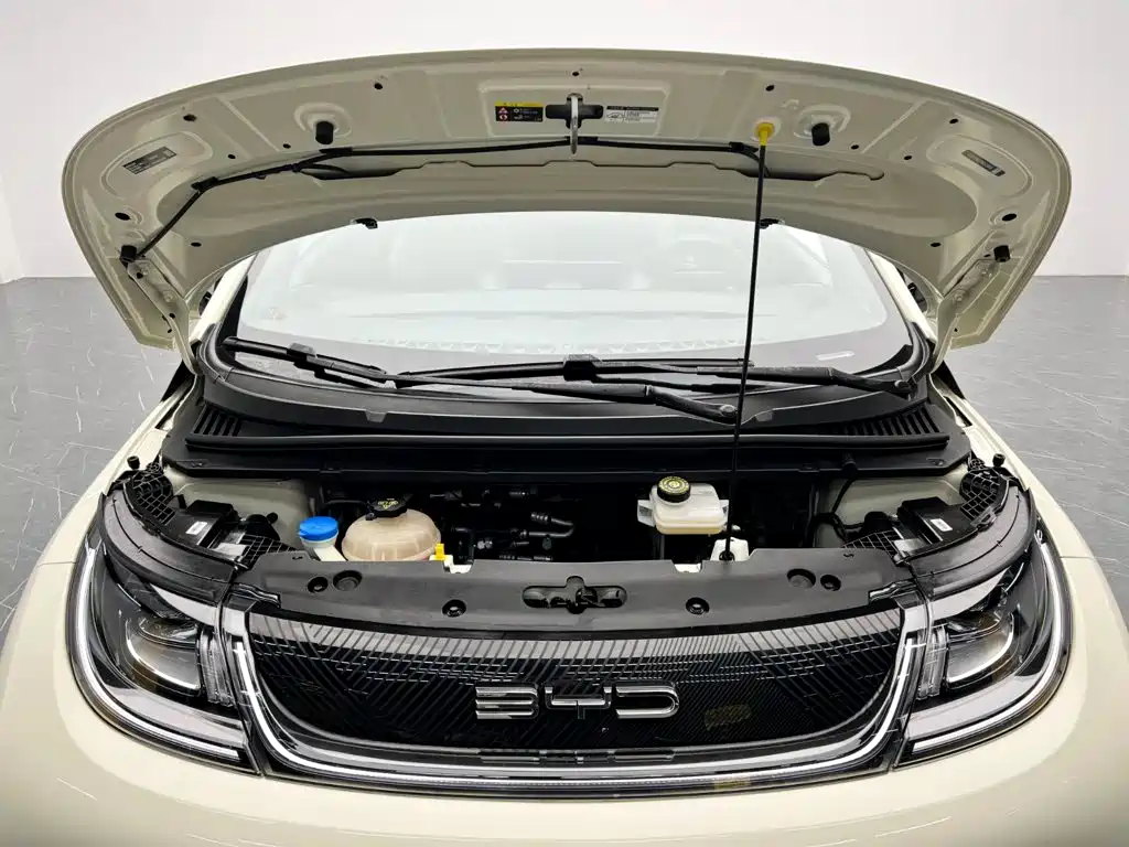 BYD Dolphin — миниатюра 24