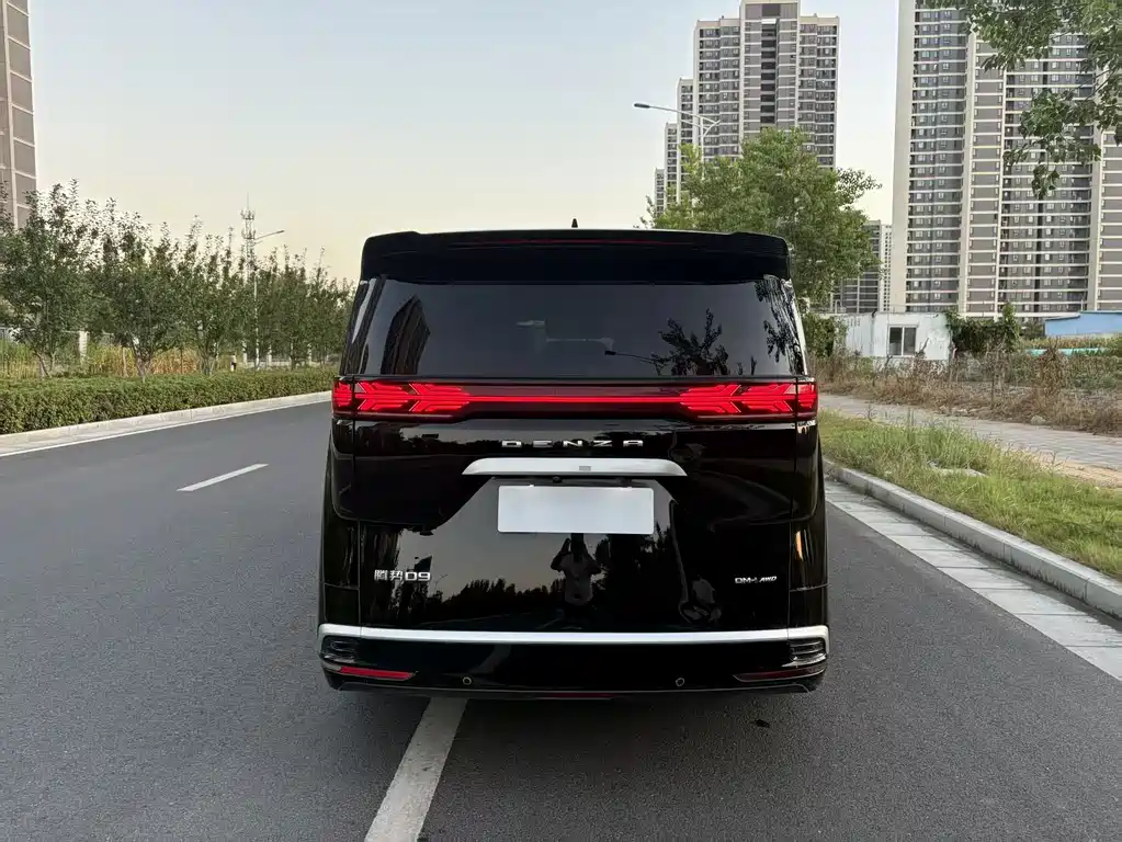 Denza Denza D9 — миниатюра 7