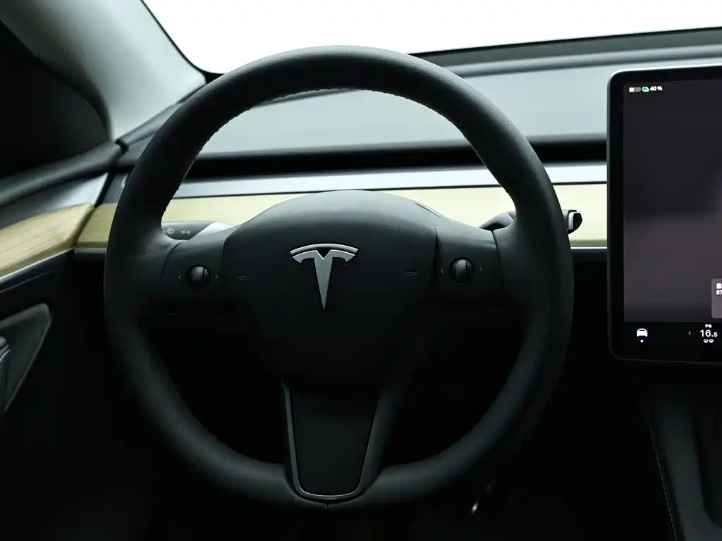 Tesla Model Y — миниатюра 16