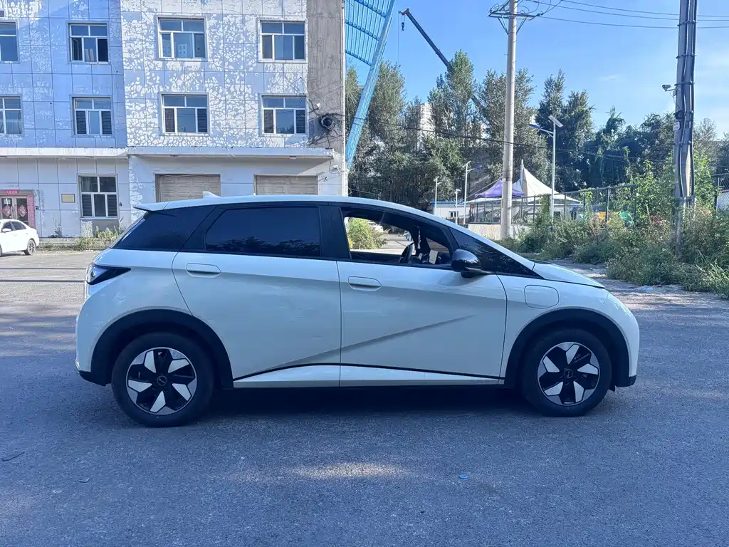 BYD Dolphin — миниатюра 8