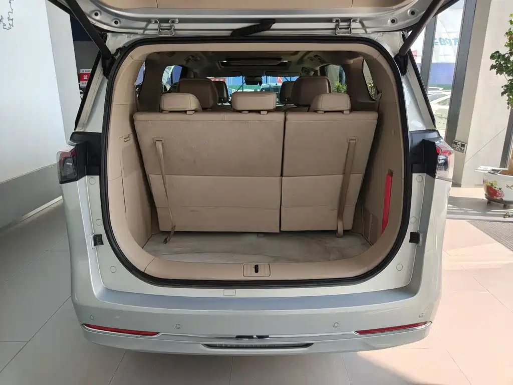 Buick GL8 — миниатюра 15