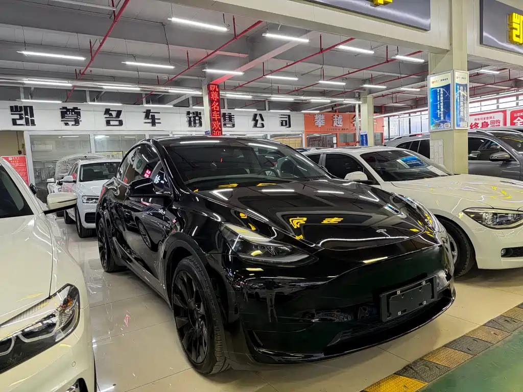 Tesla Model Y — миниатюра 3