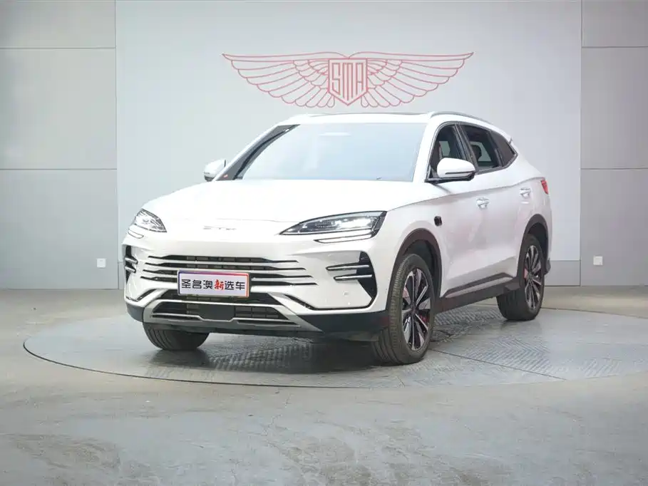 BYD SONGJIANG NEW ENERGY