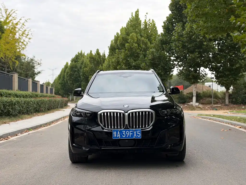BMW X5 — миниатюра 2