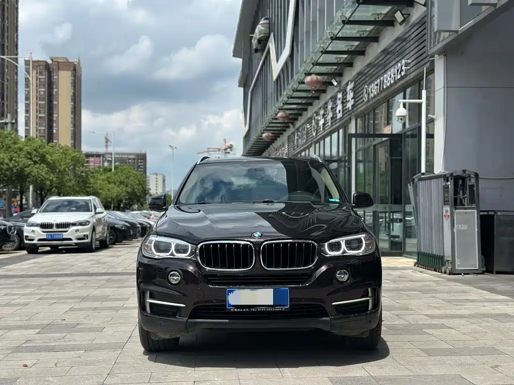 BMW X5 (Import) xDrive35i Leading Type, фото 2