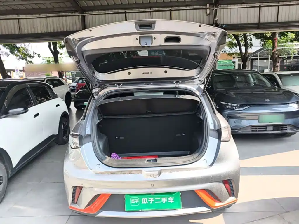 BYD Dolphin — миниатюра 19