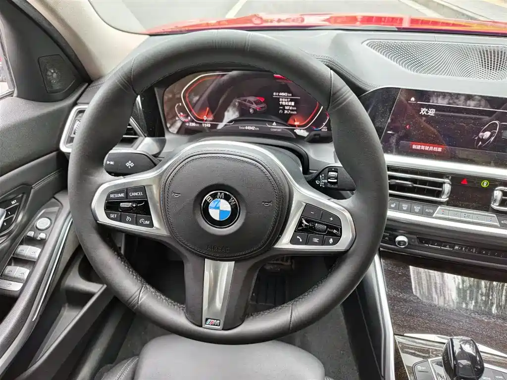 BMW 3 Series 3 2020 325Li M Sport