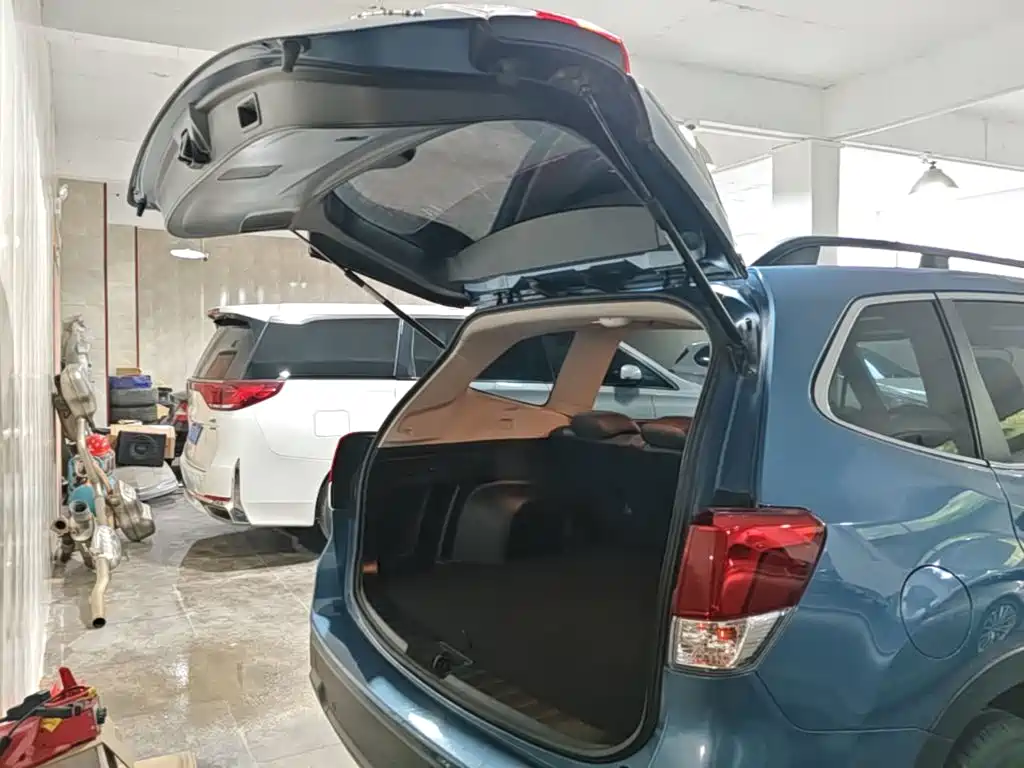 Subaru Forester — миниатюра 19