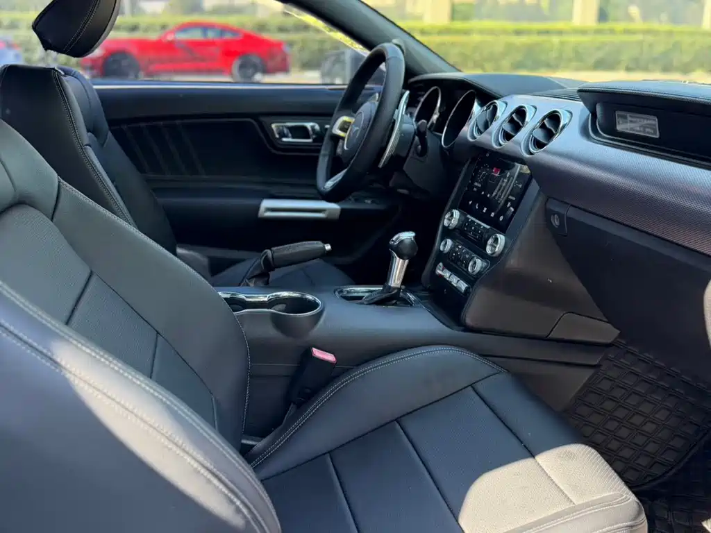 Ford Mustang — миниатюра 6
