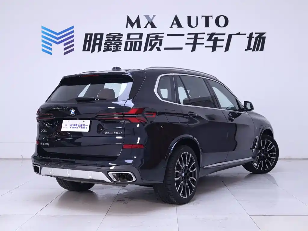 BMW X5 — миниатюра 7