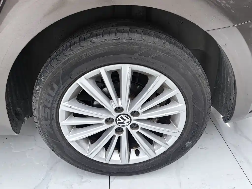 Volkswagen Gran Lavida — миниатюра 6