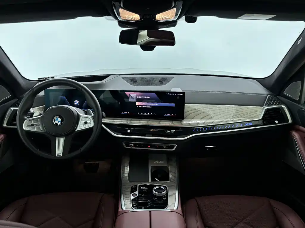 BMW X5 — миниатюра 14