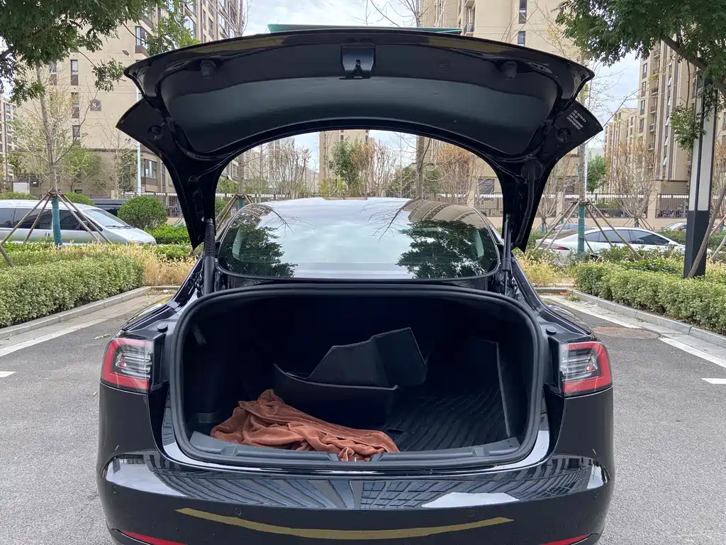 Tesla Model 3 — миниатюра 16
