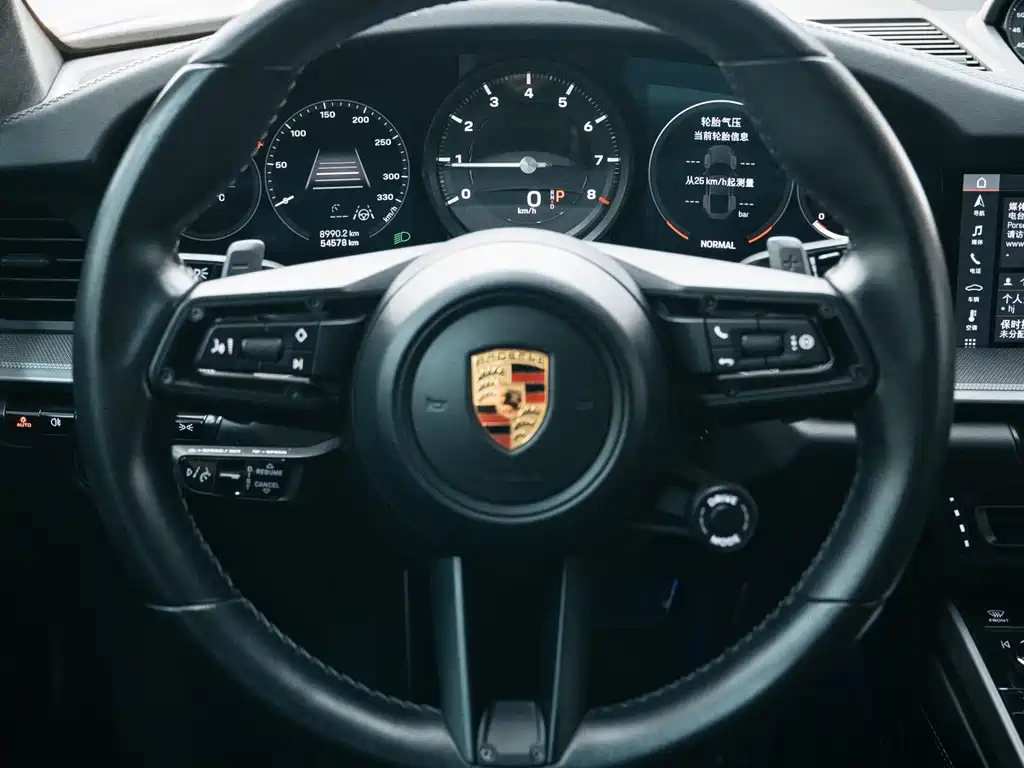 Porsche 911 — миниатюра 14