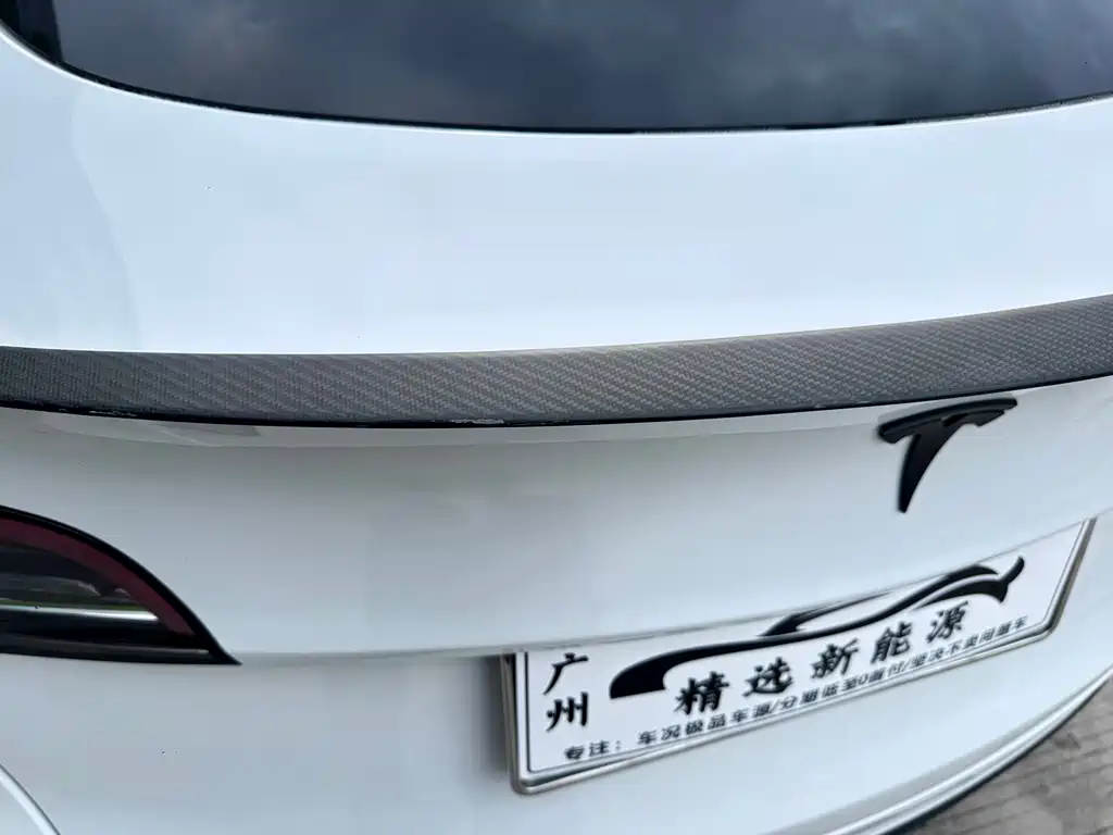 Tesla Model Y — миниатюра 8