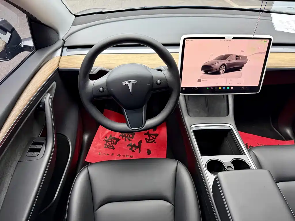 Tesla Model Y — миниатюра 12